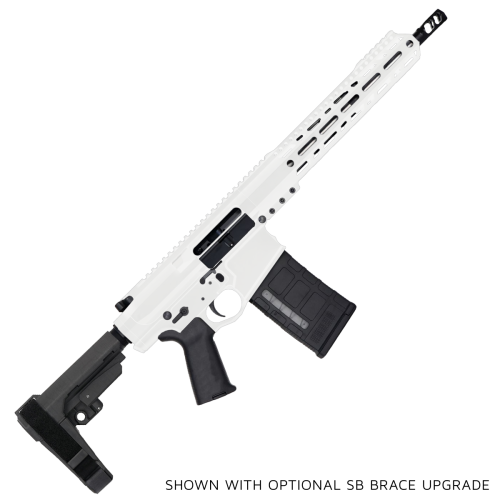 AR LR-308 Custom Semi Auto Pistol 12" Stainless Steel Barrel 12" MLOK Handguard - White