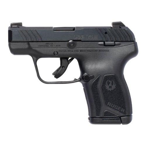 Ruger LCP MAX 13716